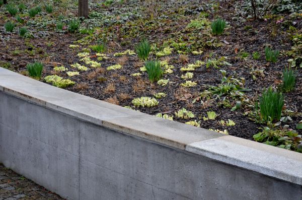 Concrete Wall Construction in Arlington Heights