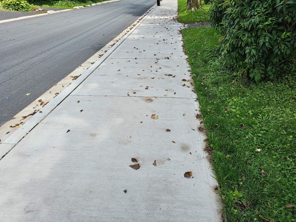 Sidewalk Renovation in Arlington Heights