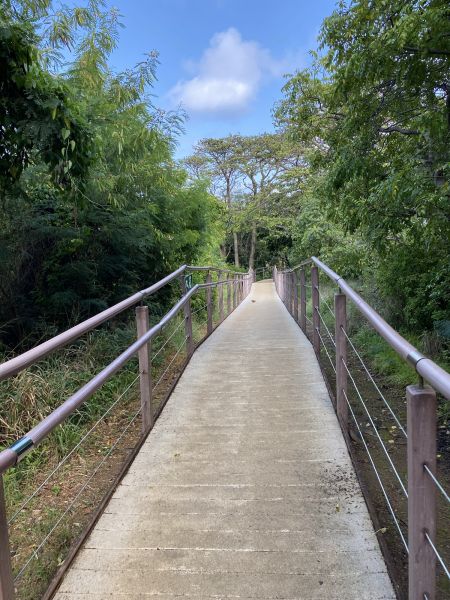 Footpath Construction in Arlington Heights