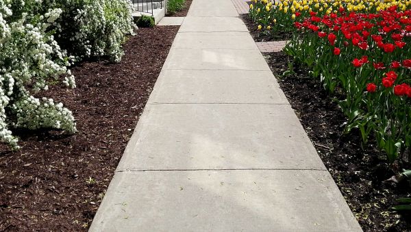 Cement Sidewalk Installation in Arlington Heights