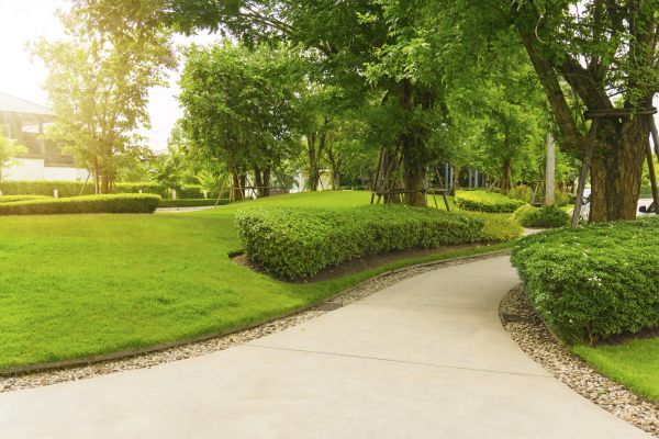 Walkway Concrete Installation in Arlington Heights