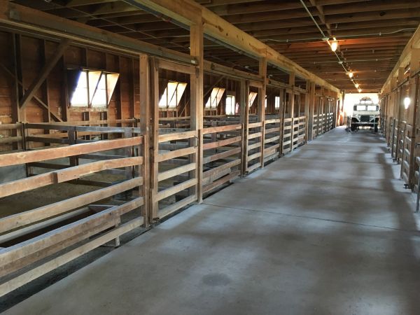 Barn Slab Construction in Arlington Heights