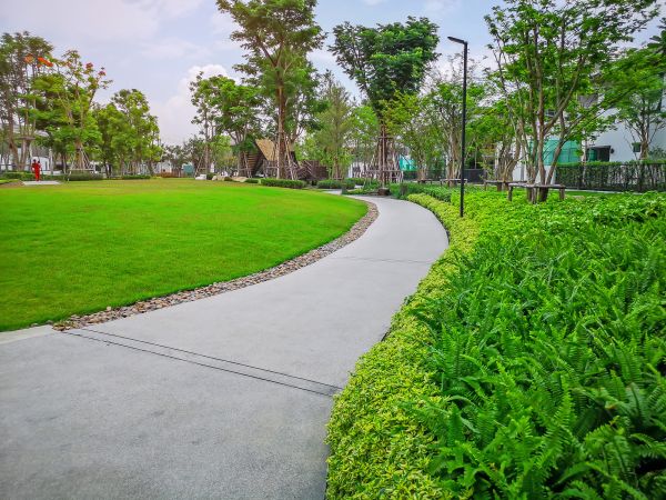 Cement Walkway Service in Arlington Heights