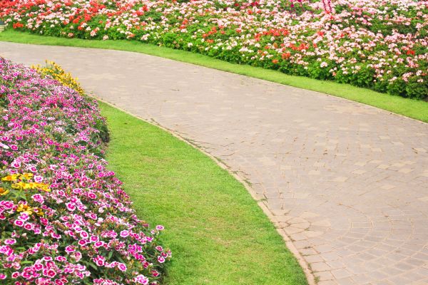 Concrete Walkway Service in Arlington Heights